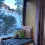 Bären Berwang