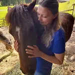 Bären *