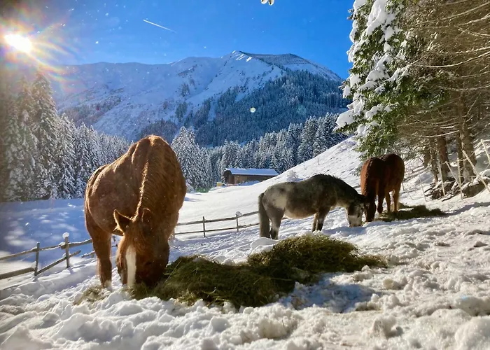 Bären Lägenhet Berwang