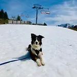 Baeren